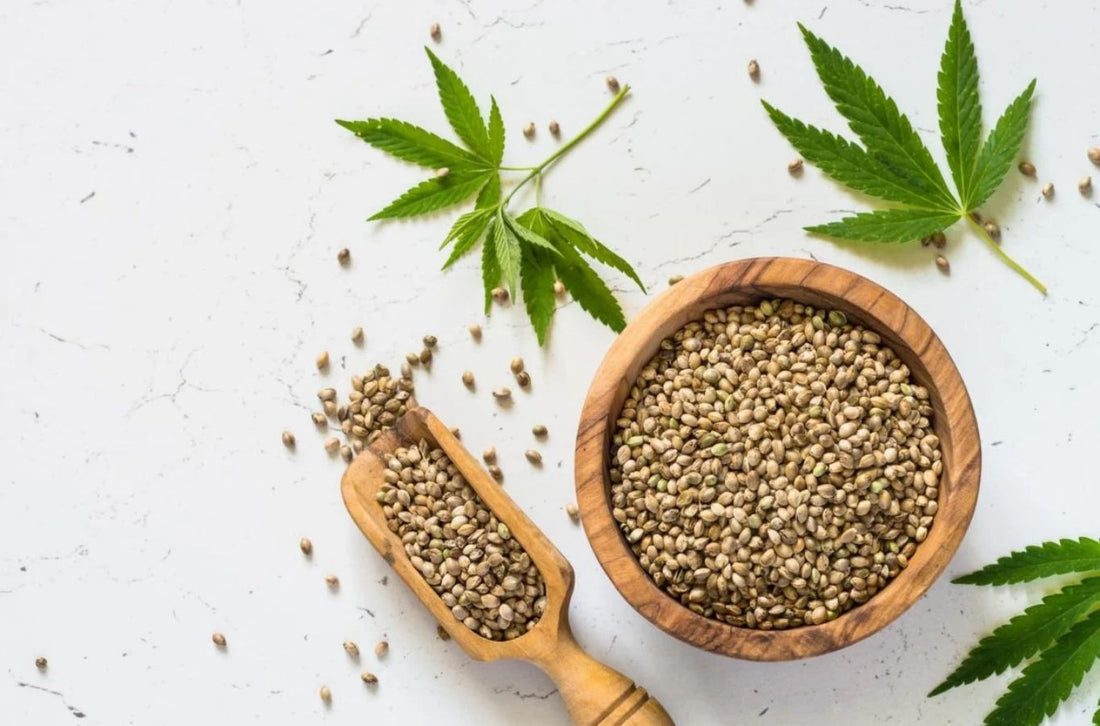 Le marché des graines de cannabis en ligne : un secteur en pleine croissance Charme-bois